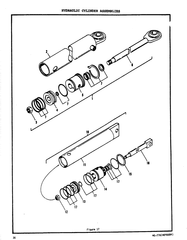 Схема запчастей Case P63 - (36) - HYDRAULIC CYLINDER ASSEMBLIES 