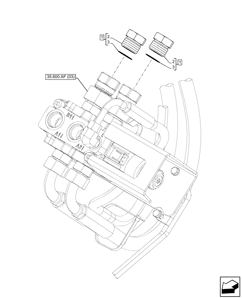 Схема запчастей Case 321F - (35.734.AG[05]) - VAR - 402036 - HYDRAULIC LINE, PLUGS (35) - HYDRAULIC SYSTEMS