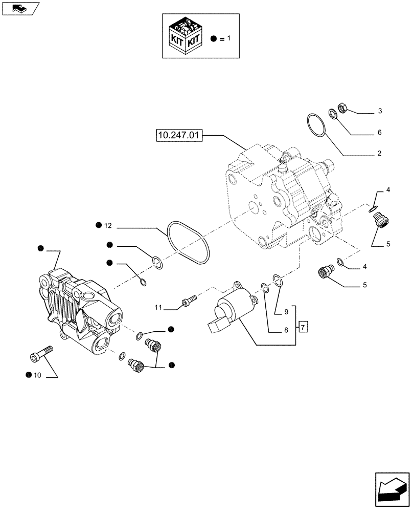 Схема запчастей Case 1021F - (10.247.01 [01]) - INJECTION PUMP (10) - ENGINE