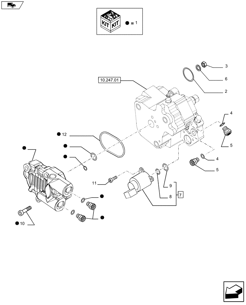 Схема запчастей Case IH F2CFZ613A E016 - (10.247.0101) - INJECTION PUMP - COMPONENTS (504188076) (10) - ENGINE