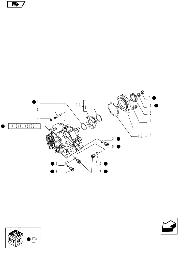 Схема запчастей Case IH MAGNUM 225 - (10.248.02[01]) - INJECTION PUMP (10) - ENGINE