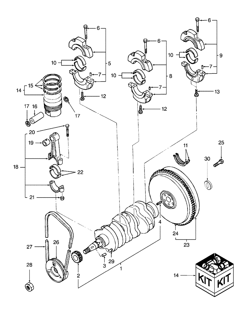 Схема запчастей Case IH D29 - (06D01) - CRANKSHAFT & PISTONS (01) - ENGINE