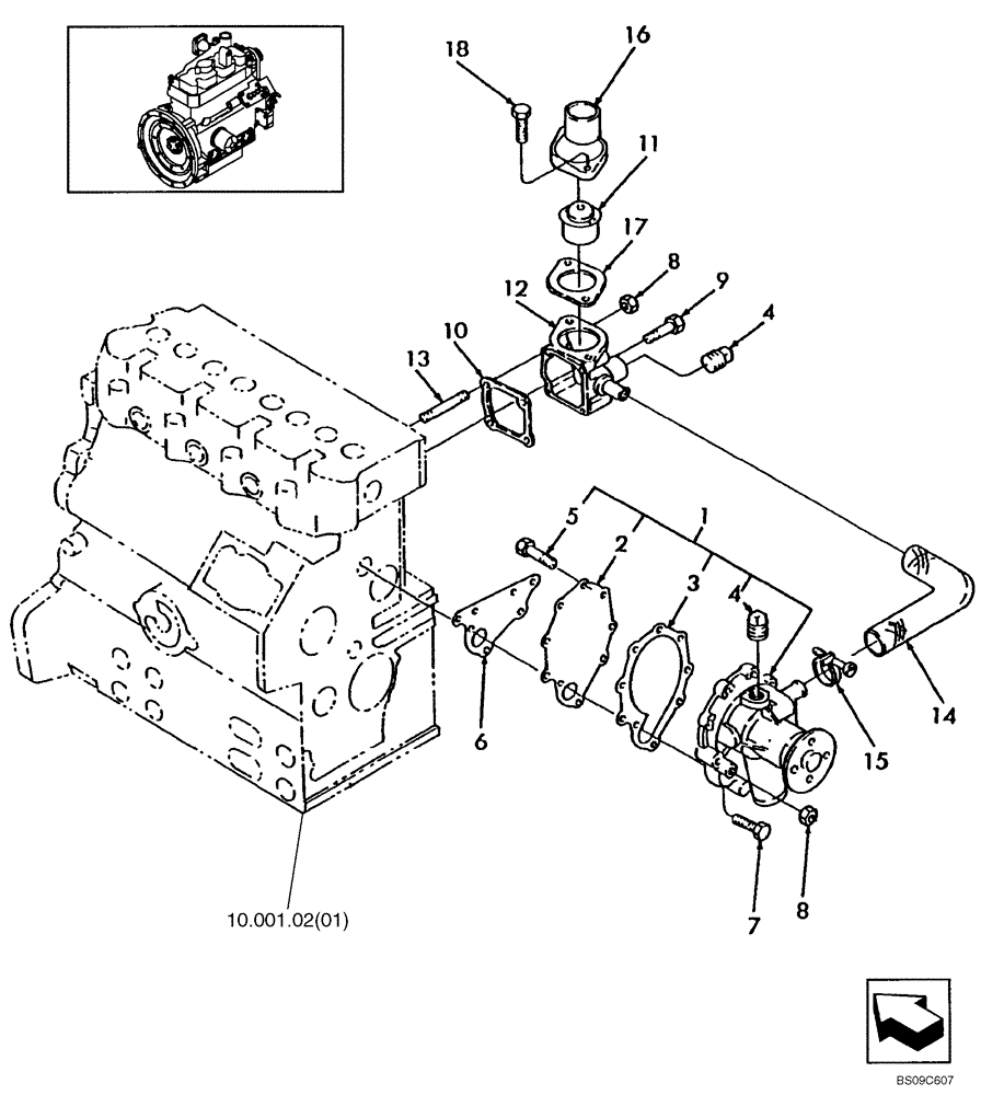 Схема запчастей Case IH ISM N844 - (10.402.01[01]) - WATER PUMP (10) - ENGINE